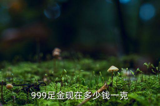 999足金現(xiàn)在多少錢(qián)一克