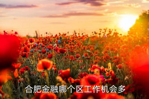 合肥興泰控股集團有限公司招聘,興泰控股集團有限公司鄭曉靜