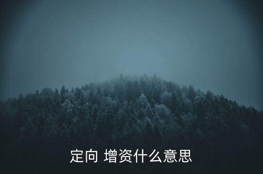 定向 增資什么意思