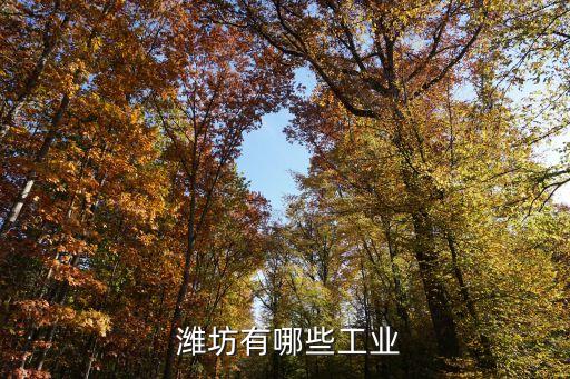 濰坊海龍集團(tuán)有限公司,重慶海龍文化旅游(集團(tuán))有限公司