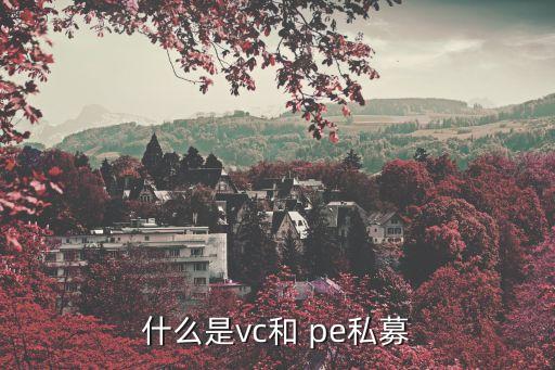 什么是vc和 pe私募