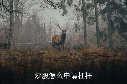 炒股怎么申請(qǐng)杠桿