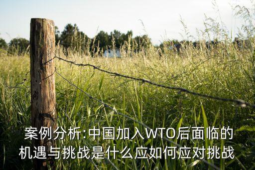  案例分析:中國加入WTO后面臨的機(jī)遇與挑戰(zhàn)是什么應(yīng)如何應(yīng)對挑戰(zhàn)