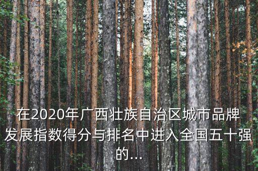 中國(guó)社會(huì)科學(xué)院規(guī)制與競(jìng)爭(zhēng)研究中心