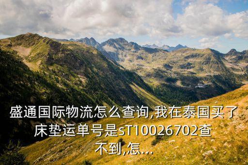 盛通國際物流怎么查詢,我在泰國買了床墊運單號是sT10026702查不到,怎...