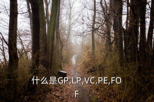 什么是GP,LP,VC,PE,FOF