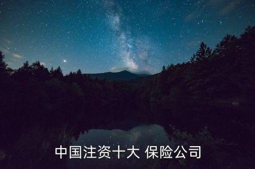 中國注資十大 保險公司