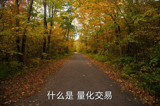 什么是 量化交易