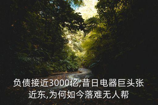 負債接近3000億,昔日電器巨頭張近東,為何如今落難無人幫