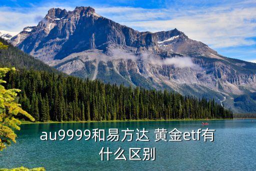 au9999和易方達 黃金etf有什么區(qū)別