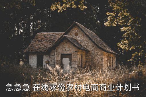 急急急 在線求份農(nóng)村電商商業(yè)計(jì)劃書