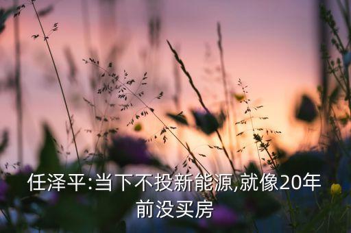 任澤平:當(dāng)下不投新能源,就像20年前沒(méi)買(mǎi)房