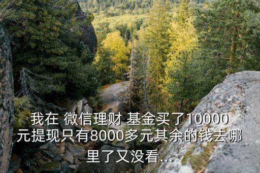 我在 微信理財 基金買了10000元提現(xiàn)只有8000多元其余的錢去哪里了又沒看...