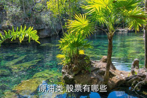 中國石油天然氣集團(tuán)公司股票代碼