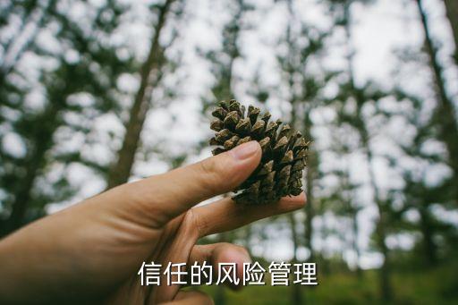 信任的風(fēng)險(xiǎn)管理