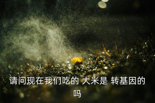 請(qǐng)問現(xiàn)在我們吃的 大米是 轉(zhuǎn)基因的嗎