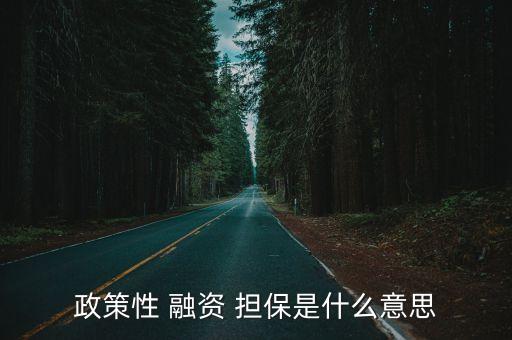 政策性 融資 擔保是什么意思