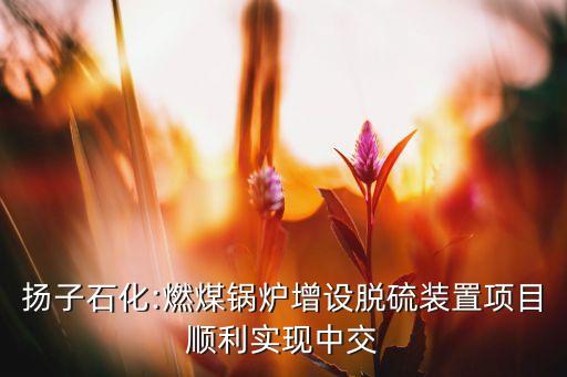 揚子石化:燃煤鍋爐增設脫硫裝置項目順利實現中交