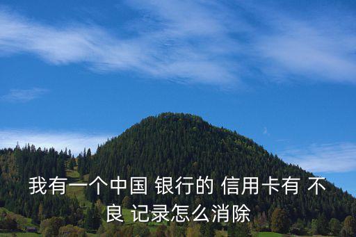 我有一個中國 銀行的 信用卡有 不良 記錄怎么消除