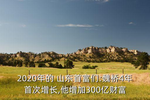 2020年的 山東首富們:魏橋4年首次增長(zhǎng),他增加300億財(cái)富