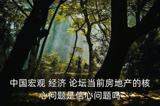 中國宏觀 經濟 論壇當前房地產的核心問題是信心問題嗎