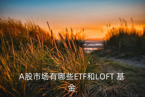 A股市場(chǎng)有哪些ETF和LOFT 基金