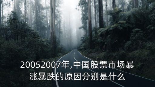 20052007年,中國(guó)股票市場(chǎng)暴漲暴跌的原因分別是什么