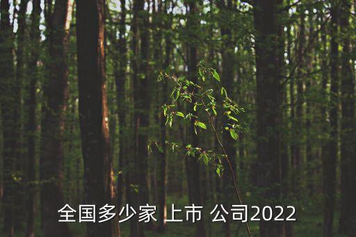 全國多少家 上市 公司2022