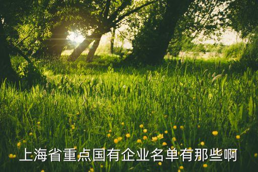 上海省重點(diǎn)國(guó)有企業(yè)名單有那些啊