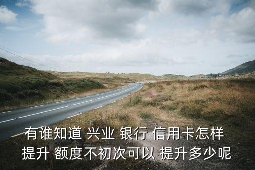 有誰知道 興業(yè) 銀行 信用卡怎樣 提升 額度不初次可以 提升多少呢