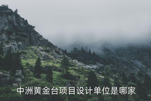 中洲集團合肥,深圳中洲集團什么背景