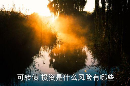  可轉(zhuǎn)債 投資是什么風(fēng)險有哪些