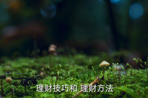  理財(cái)技巧和 理財(cái)方法