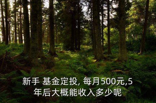 新手 基金定投, 每月500元,5年后大概能收入多少呢