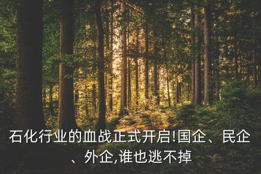 石化行業(yè)的血戰(zhàn)正式開啟!國企、民企、外企,誰也逃不掉