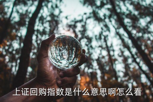 上海上證數(shù)據(jù)服務(wù)有限責(zé)任公司