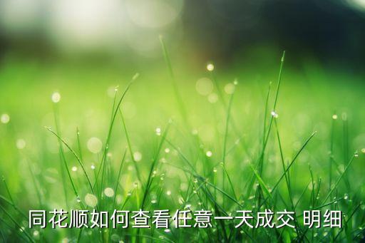  同花順如何查看任意一天成交 明細