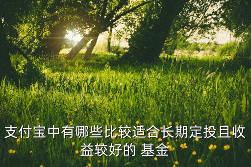 支付寶中有哪些比較適合長(zhǎng)期定投且收益較好的 基金