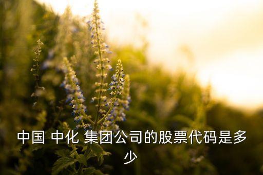 中國 中化 集團(tuán)公司的股票代碼是多少