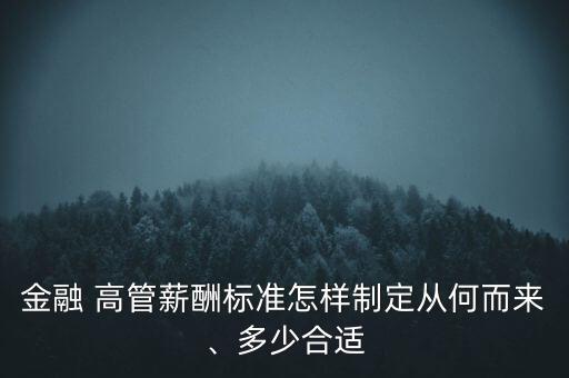 金融 高管薪酬標(biāo)準(zhǔn)怎樣制定從何而來、多少合適