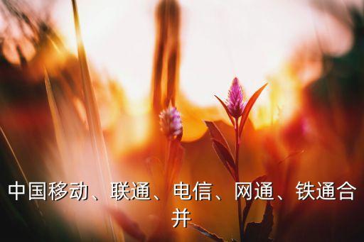 中國移動、聯(lián)通、電信、網(wǎng)通、鐵通合并