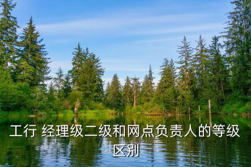 工行 經(jīng)理級二級和網(wǎng)點負(fù)責(zé)人的等級區(qū)別