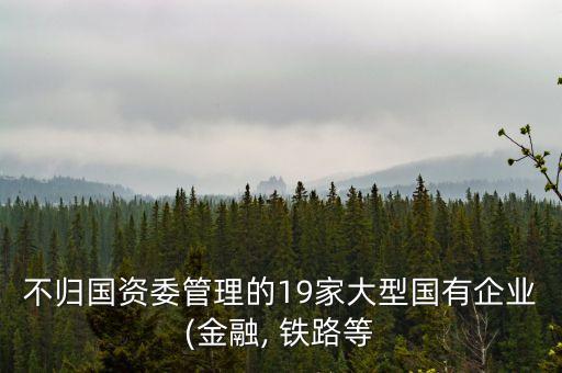 不歸國(guó)資委管理的19家大型國(guó)有企業(yè)(金融, 鐵路等