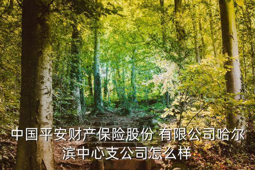 中國平安保險有限公司的法人,平安保險(香港)有限公司客服電話