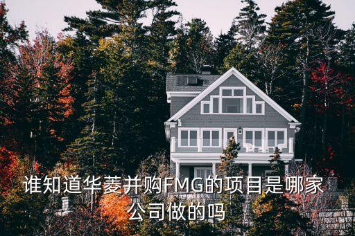 誰知道華菱并購(gòu)FMG的項(xiàng)目是哪家 公司做的嗎