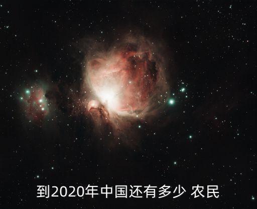 到2020年中國還有多少 農(nóng)民