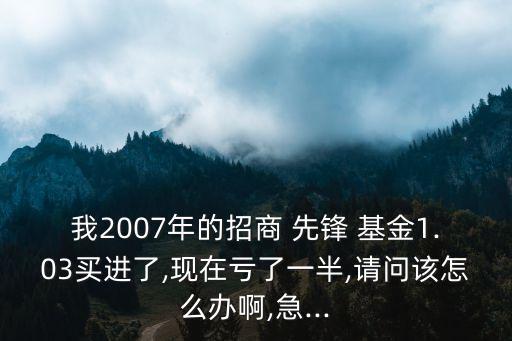 我2007年的招商 先鋒 基金1.03買(mǎi)進(jìn)了,現(xiàn)在虧了一半,請(qǐng)問(wèn)該怎么辦啊,急...