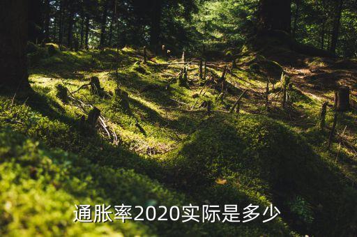 通脹率2020實際是多少