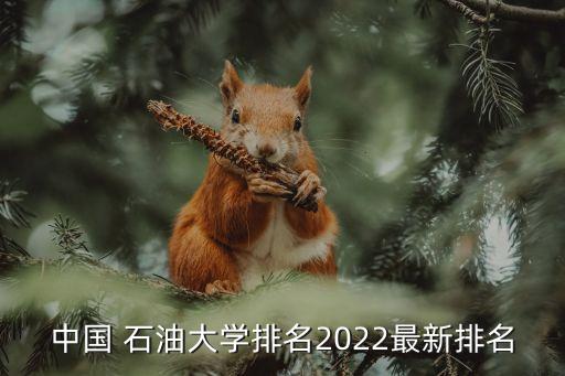 中國 石油大學排名2022最新排名