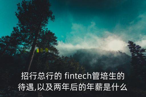 招行總行的 fintech管培生的待遇,以及兩年后的年薪是什么